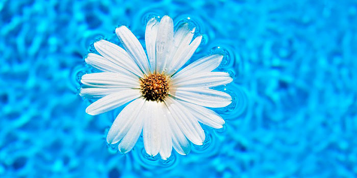 El clorador salino desinfecta de manera automática y efectiva el agua de la piscina sin necesidad de producto químico.