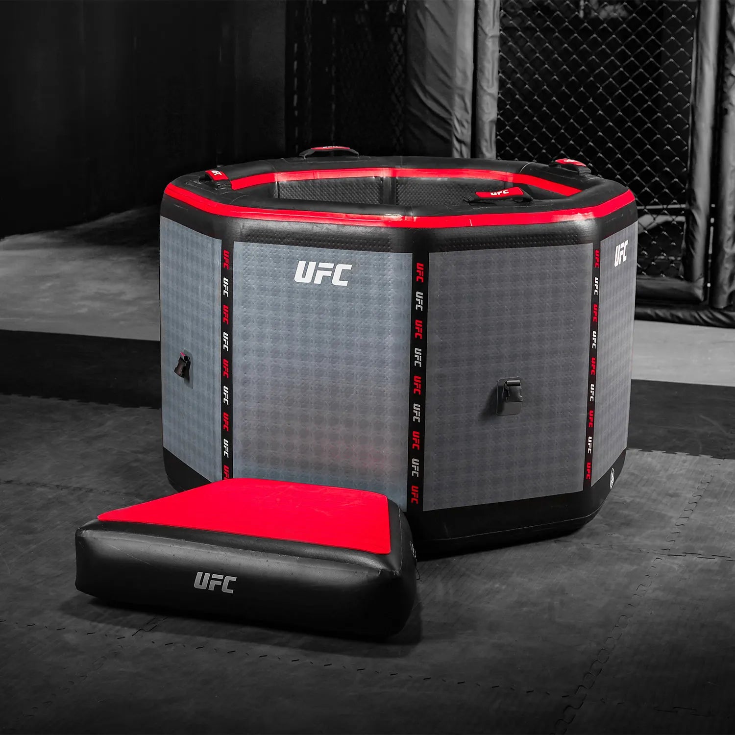 UFC-Octagon-desc01.webp